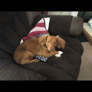 Meet your Posher, Tamara